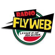 Radio FlyWeb